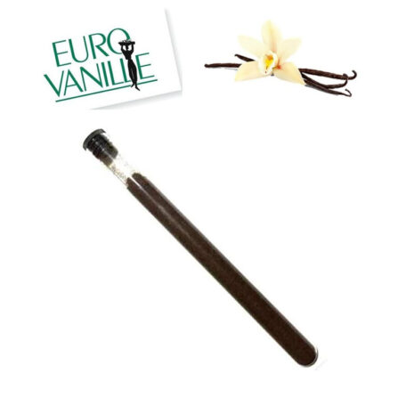 Vaniglia Bourbon in Polvere Naturale - 10 gr Vaniglia del Madagascar