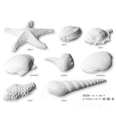 Modecor Kit 8 Conchiglie Bianche Zu Decorazioni a Tema Marino