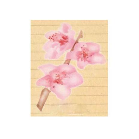 Martellato Stencil Per Aerografo Ramo di Pesco 4 Steps