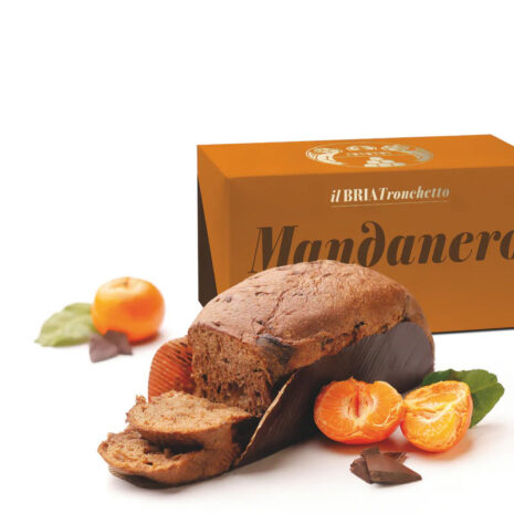 Bonci Bria Tronchetto Mandanero 500g - Tronchetto Artigianale con Mandorle e Cioccolato Fondente