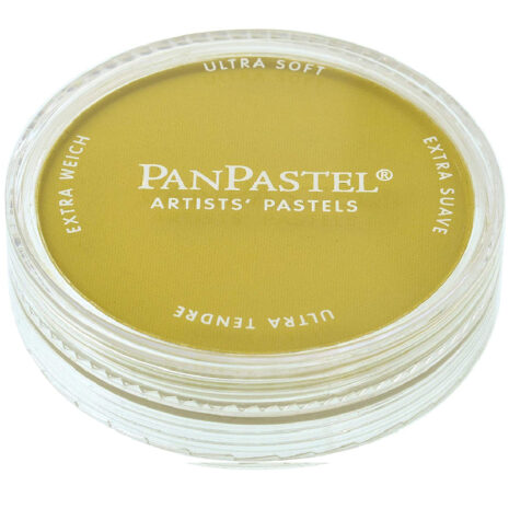 PanPastel Coloranti Ultra morbidi pastelli 9ml-Hans Giallo Ombra - 2203