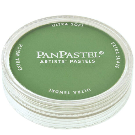 PanPastel Coloranti Ultra morbidi pastelli 9ml- cromo ossido verde