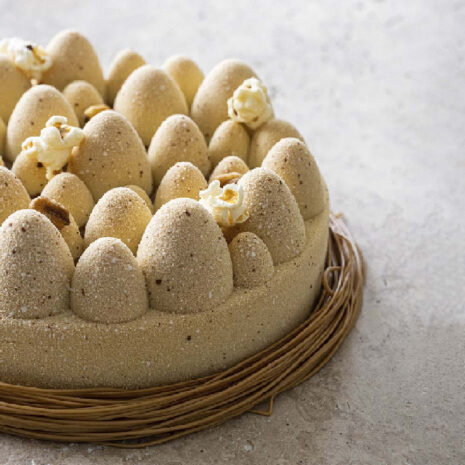 Pavoni Stampo In Silicone Pavoflex EASTER Cake By Jerome De Oliveira