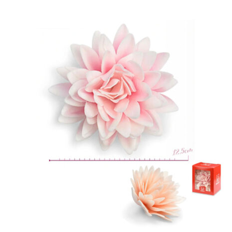 Peonia d’Ostia Rosa Salmone D12,5 cm Modecor
